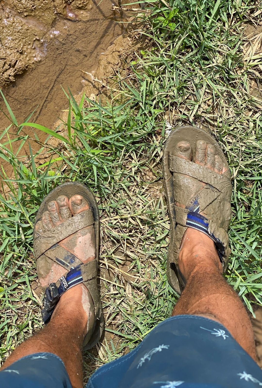 ALL-TERRAIN TREKKER